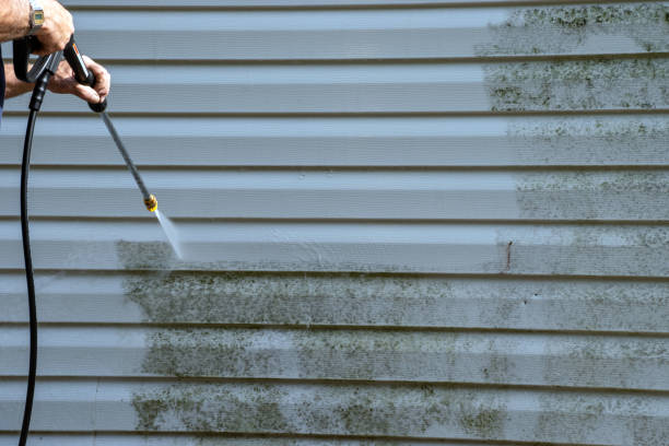 Best Hoarding Cleanup  in Harlan, IN