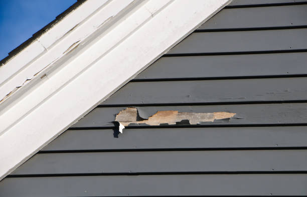 Best Foreclosure Cleanout  in Harlan, IN